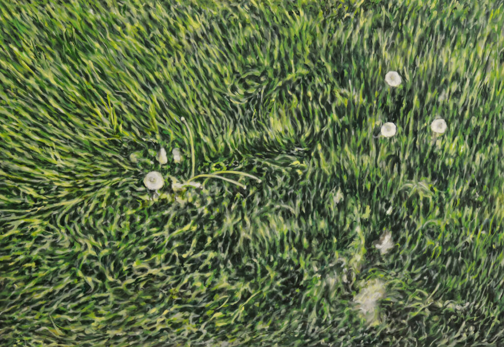 Rasen Heiligendamm,9.2025,100x145cm