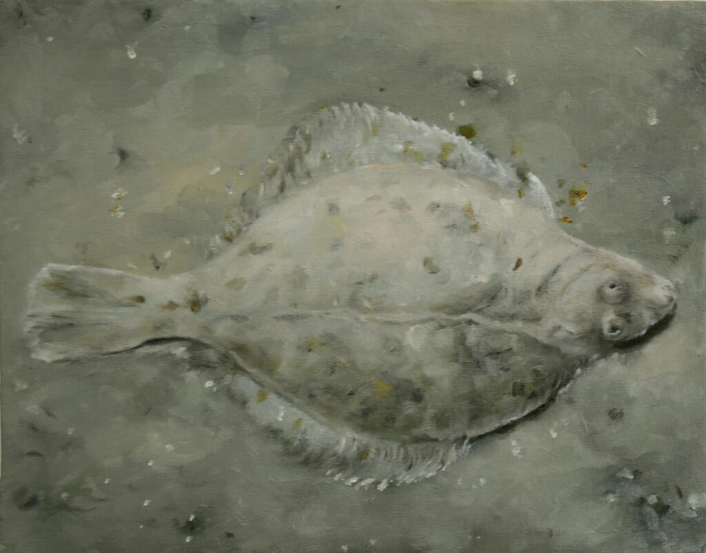Flunder,11.2025,32x40cm