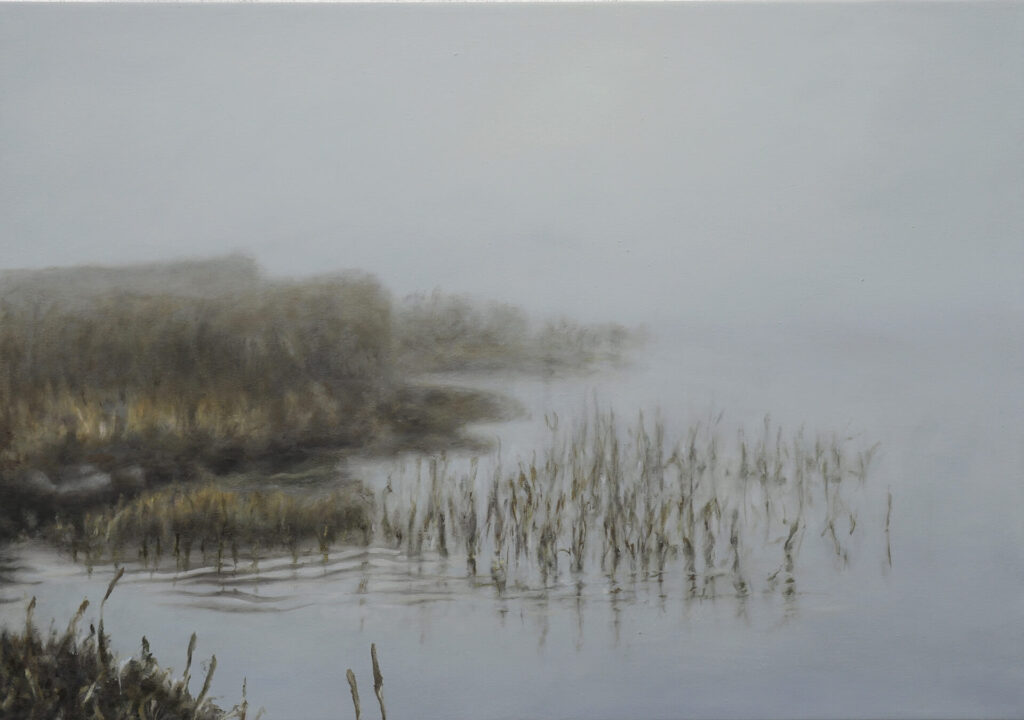 Nebel am Sommerhaus,12.25,70x100cm