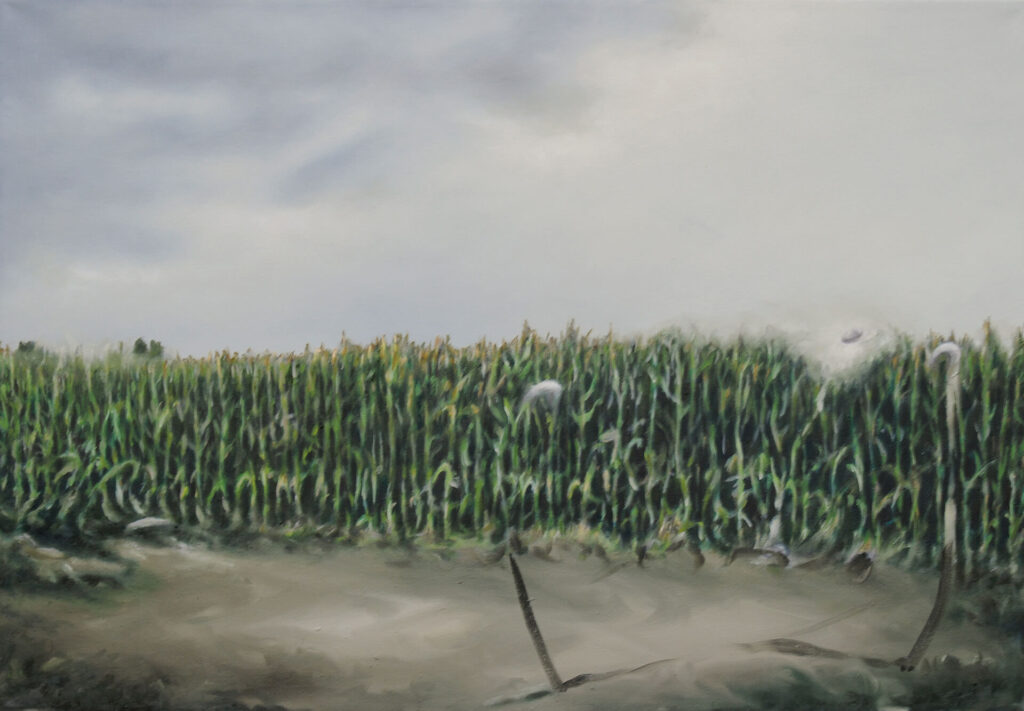 Maisfeld,4.2026,70x100cm